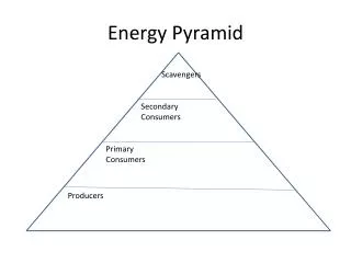 Energy Pyramid