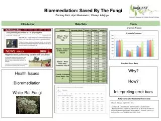 Bioremediation: Saved By The Fungi