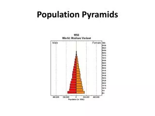 population pyramids