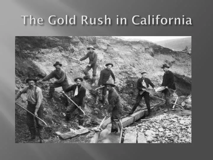 the gold rush in california