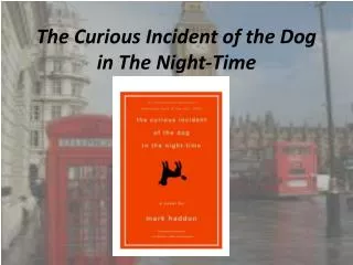 The Curious Incident of the Dog in The Night-Time