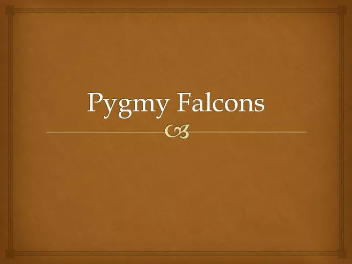 pygmy falcons