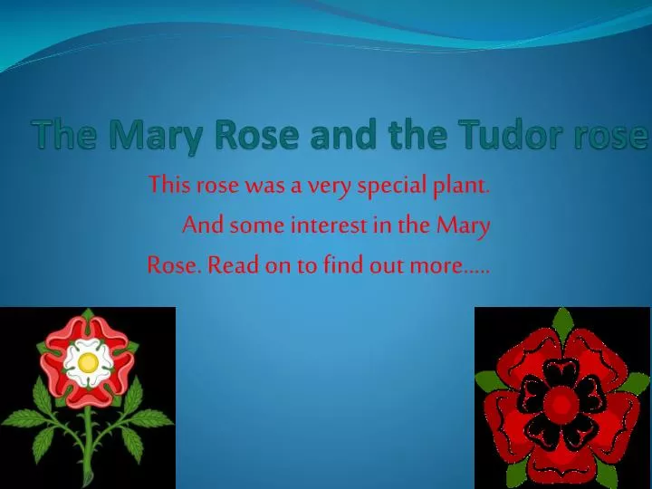 the mary rose and the tudor rose