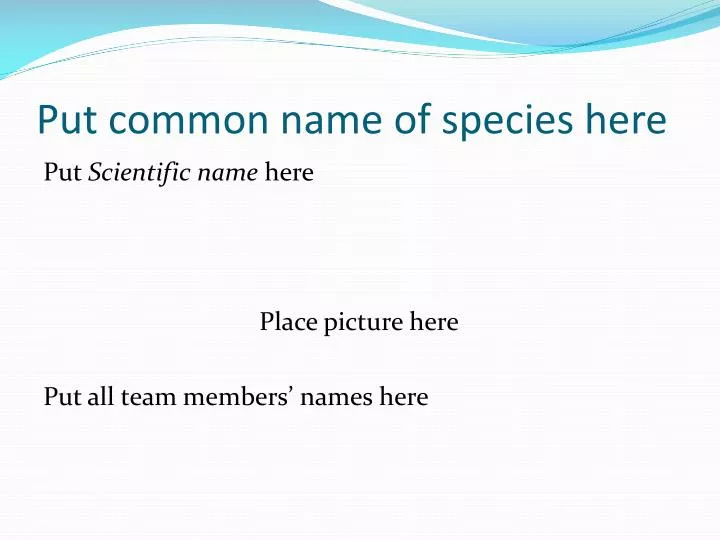 put common name of species here