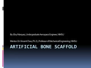 Artificial Bone ScafFold