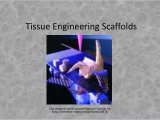Tissue Engineering Scaffolds