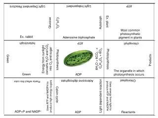 ADP