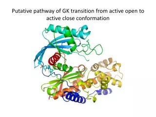 Putative pathway of GK transition from active open to active close conformation