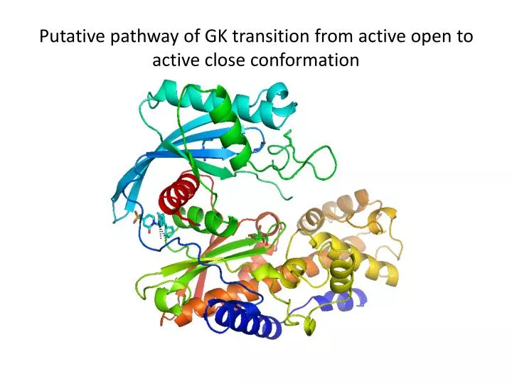putative pathway of gk transition from active open to active close conformation