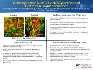 Orienting Human Stem Cells ( hMSCs ) by Means of Electrospun Polymer Nanofibers