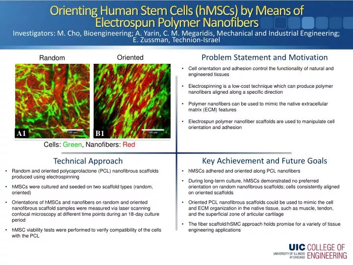 orienting human stem cells hmscs by means of electrospun polymer nanofibers