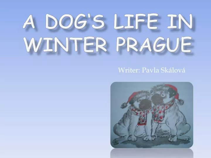 a dog s life in winter prague