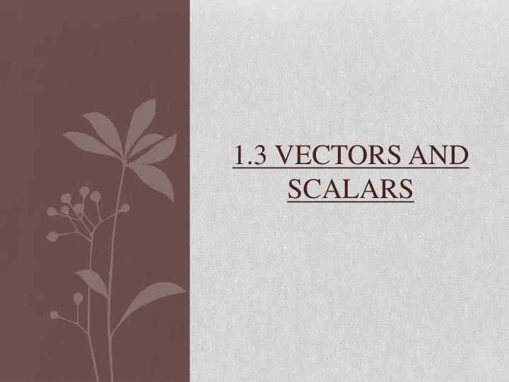 1 3 vectors and scalars