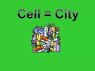 Cell = City
