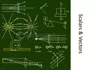 Scalars &amp; Vectors