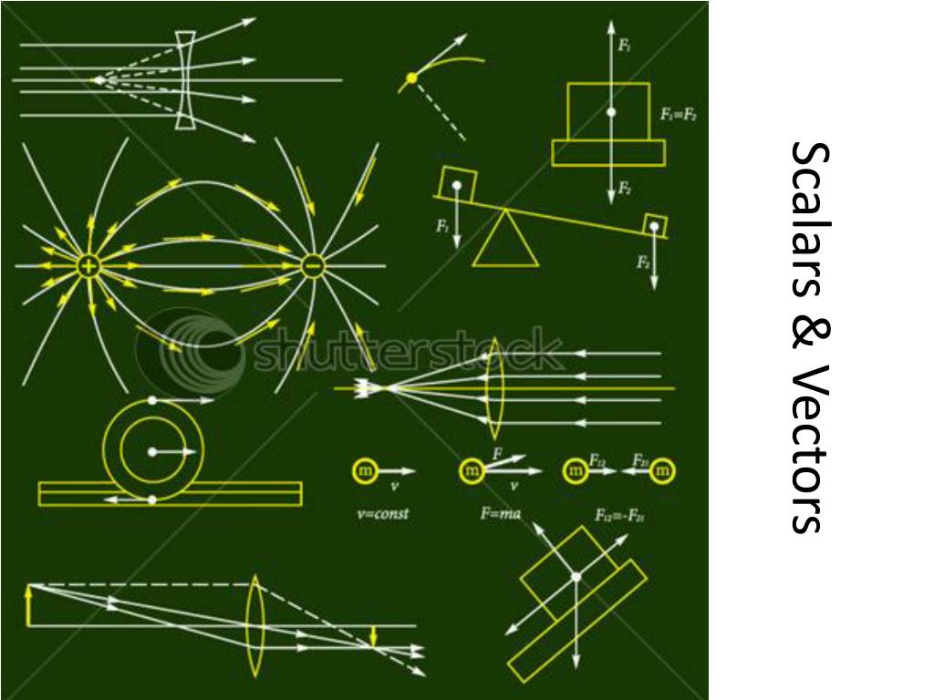 PPT - Understanding Scalars and Vectors in Physics PowerPoint ...
