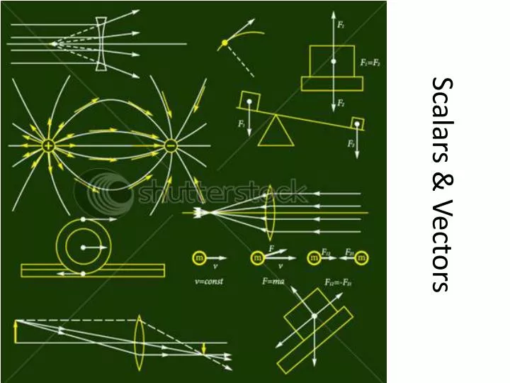 scalars vectors