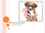 Understanding the Role of Veterinarians: Education, Skills, and Job Outlook - slide 1