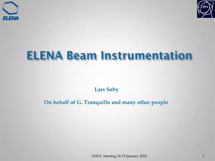 elena beam instrumentation