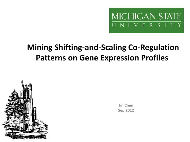 mining shifting and scaling co regulation patterns on gene expression profiles