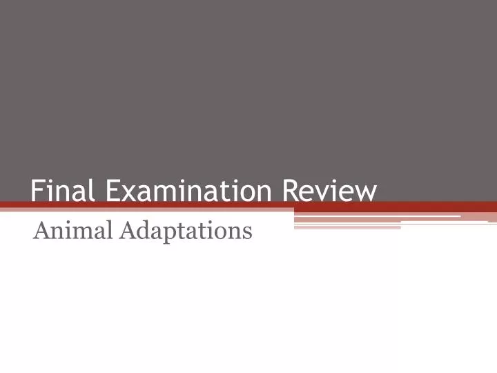 final examination review