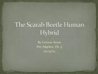 The Scarab Beetle Human Hybrid