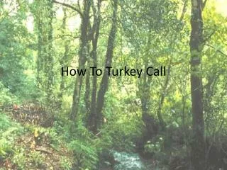 How To Turkey Call