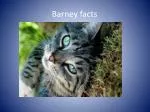 Barney facts - slide 1