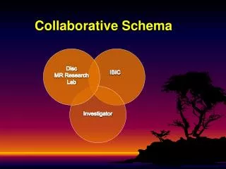 Collaborative Schema