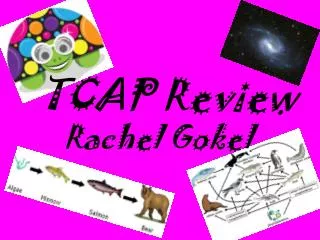 TCAP Review