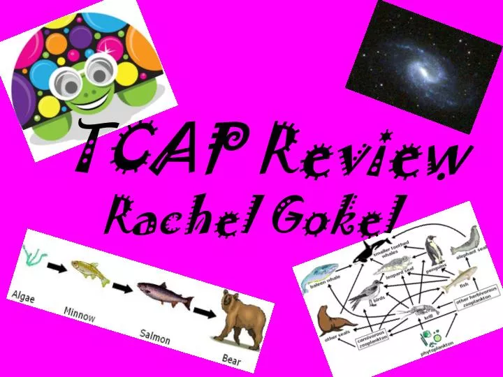 tcap review