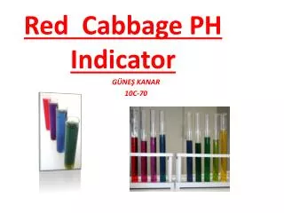 Red Cabbage PH Indicator