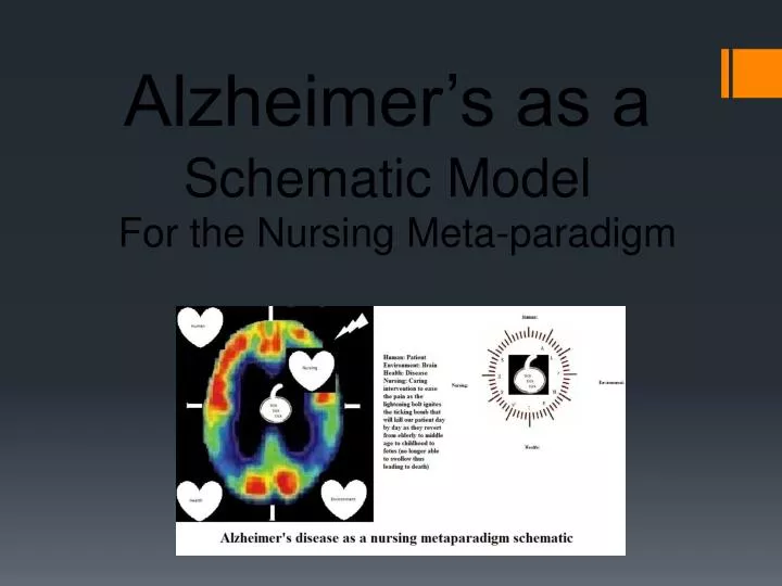 schematic model