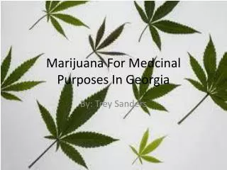 Marijuana For Medcinal Purposes In Georgia