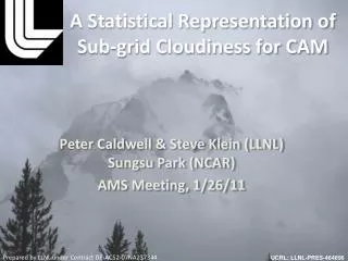 A Statistical Representation of Sub-grid Cloudiness for CAM