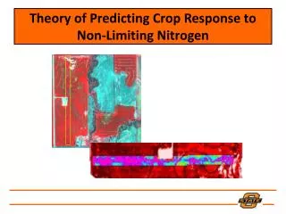 Theory of Predicting Crop Response to Non-Limiting Nitrogen