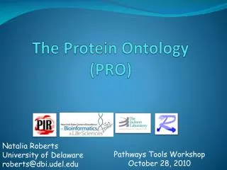 The Protein Ontology (PRO)
