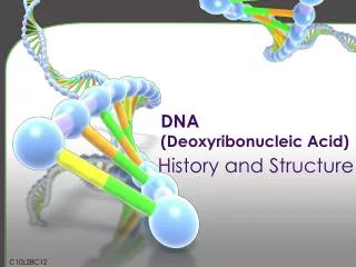 DNA (Deoxyribonucleic Acid)