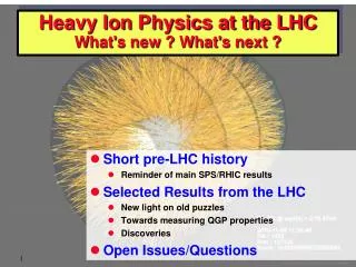 Heavy Ion Physics at the LHC What's new ? What's next ?