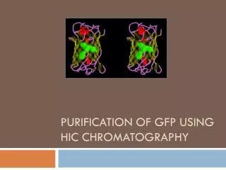 Purification of GFP using HIC Chromatography