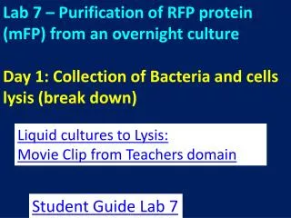Liquid cultures to Lysis : Movie Clip from Teachers domain