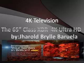 4K Television