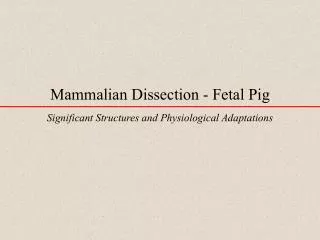 Mammalian Dissection - Fetal Pig