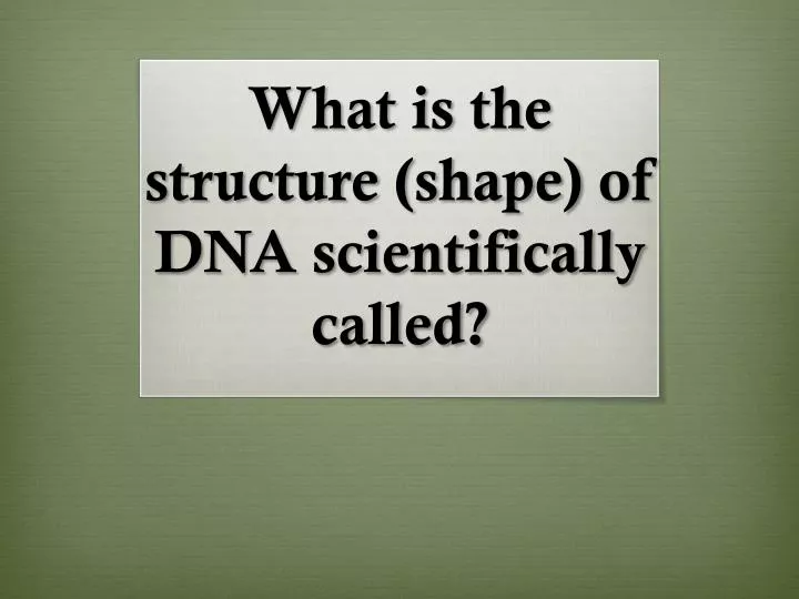 what is the structure shape of dna scientifically called