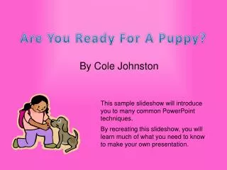 Are You Ready For A Puppy?