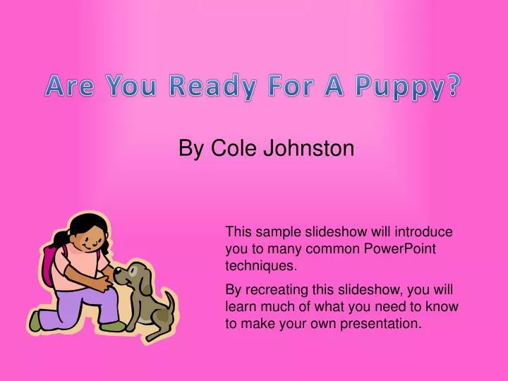 are you ready for a puppy