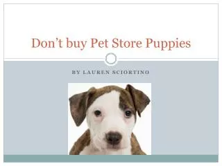 Don’t buy Pet Store Puppies