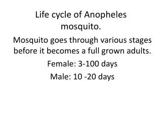 Life cycle of Anopheles mosquito.