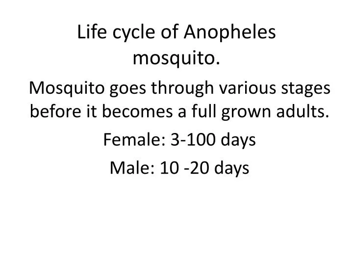 life cycle of anopheles mosquito