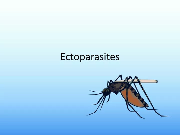 ectoparasites